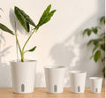 Self-watering plant pot set shown in multiple sizes with a houseplant styled in one pot