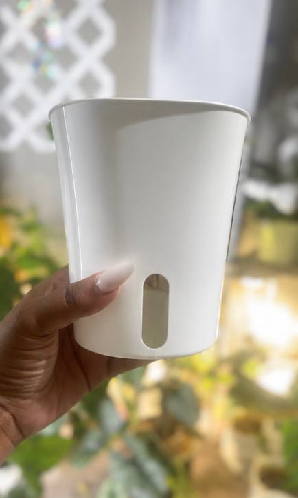White self-watering plant pot held in hand showing the water level window