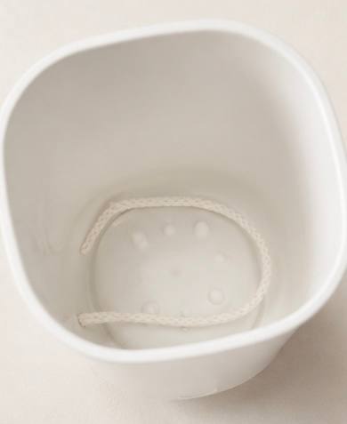 Inside view of a self-watering plant pot showing the wick system
