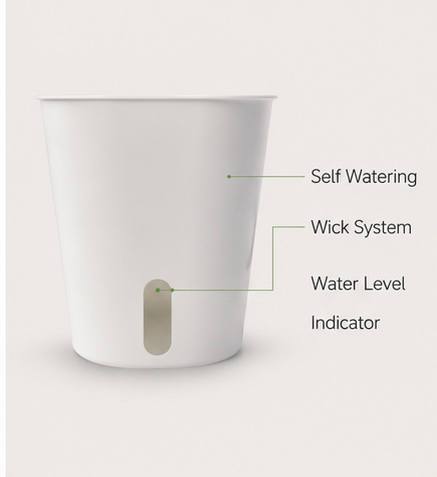 Diagram of a self-watering plant pot showing wick system and water level indicator