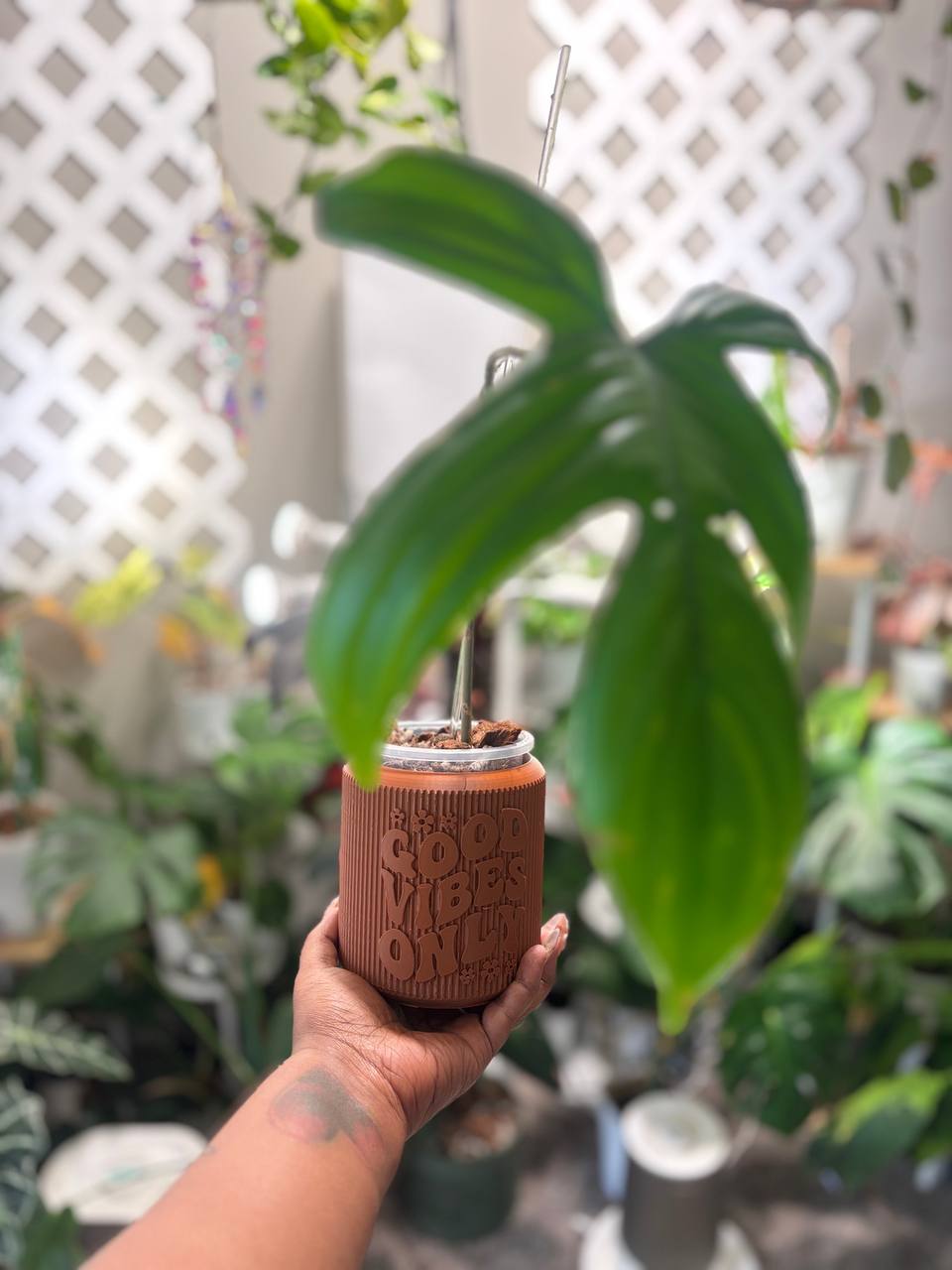 Brown Good Vibes Only 3D printed pot held with a plant in a plant room setting
