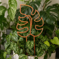Copper 3D printed Monstera leaf plant trellis styled in a potted houseplant