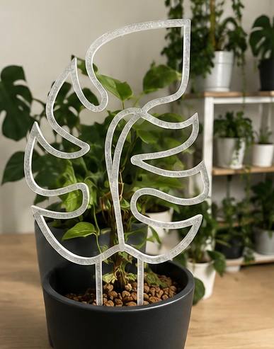 Transparent 3D printed Monstera leaf plant trellis in a black pot
