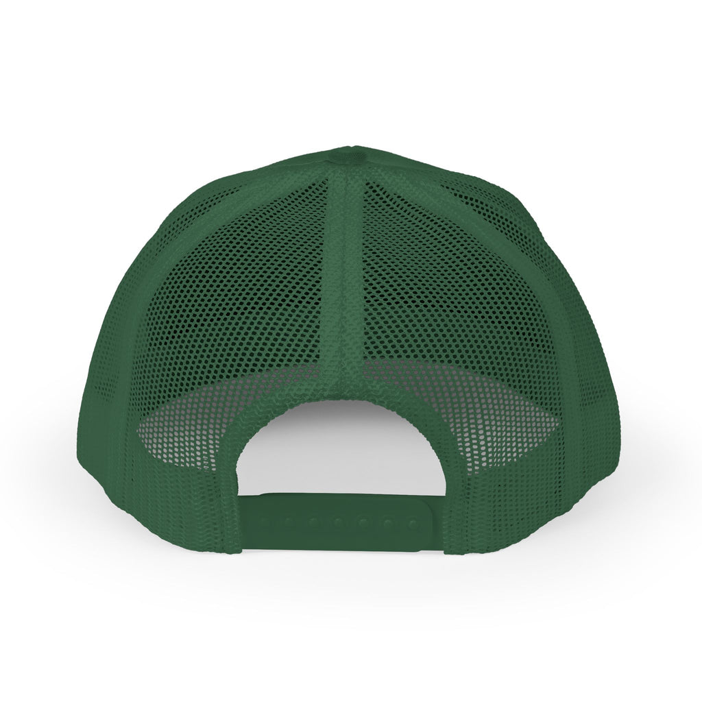 Neighborhood Plant Dealer Minimalistic Embroidered Snapback Hat plant lover hat by Detroit Plant Mom - product view 6