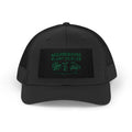 Neighborhood Plant Dealer Minimalistic Embroidered Snapback Hat plant lover hat by Detroit Plant Mom