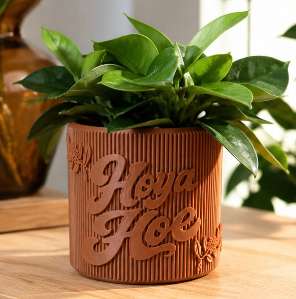 3D Printed 3.5-Inch Hoya Hoe Decorative Pot