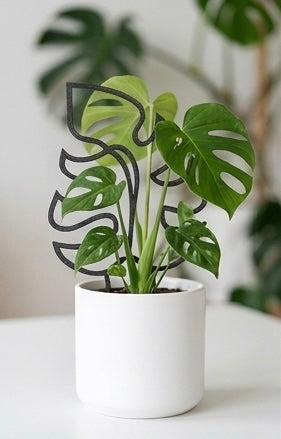 3D Printed Plant Trellis 3 Pack - Black