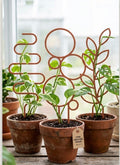 3D Printed Plant Trellis 3 Pack - Brown