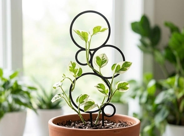 3D Printed Plant Trellis 3 Pack - Black