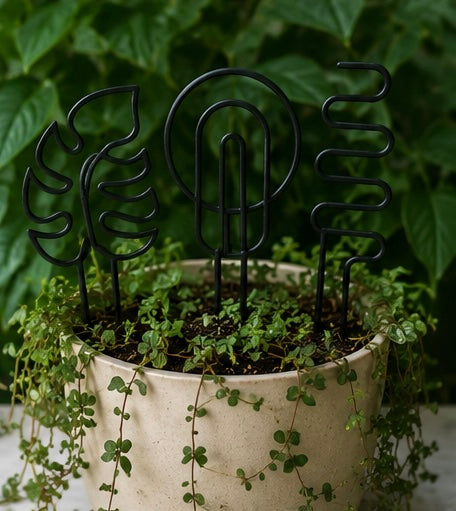 3D Printed Plant Trellis 3 Pack