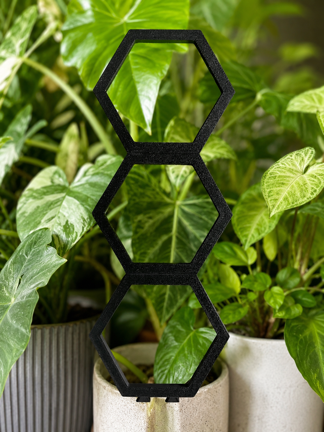 3D Printed Stackable Plant Trellis Starter Set
