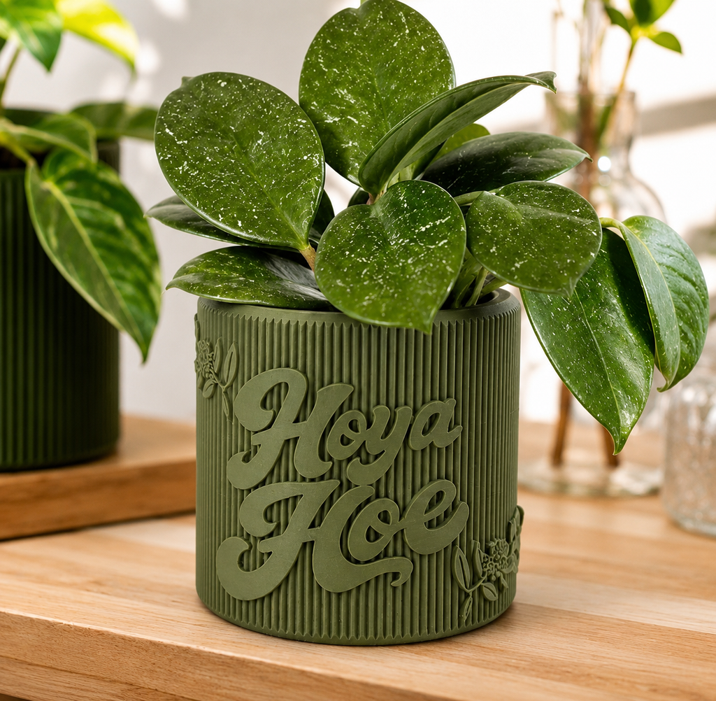 3D Printed 3.5-Inch Hoya Hoe Decorative Pot