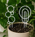 White 3D printed circular plant trellises styled in a potted plant