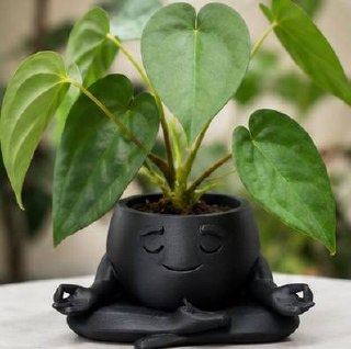 Detroit Plant Mom 3D Printed Zen Meditation Decorative Planter — black planter styled with a small houseplant